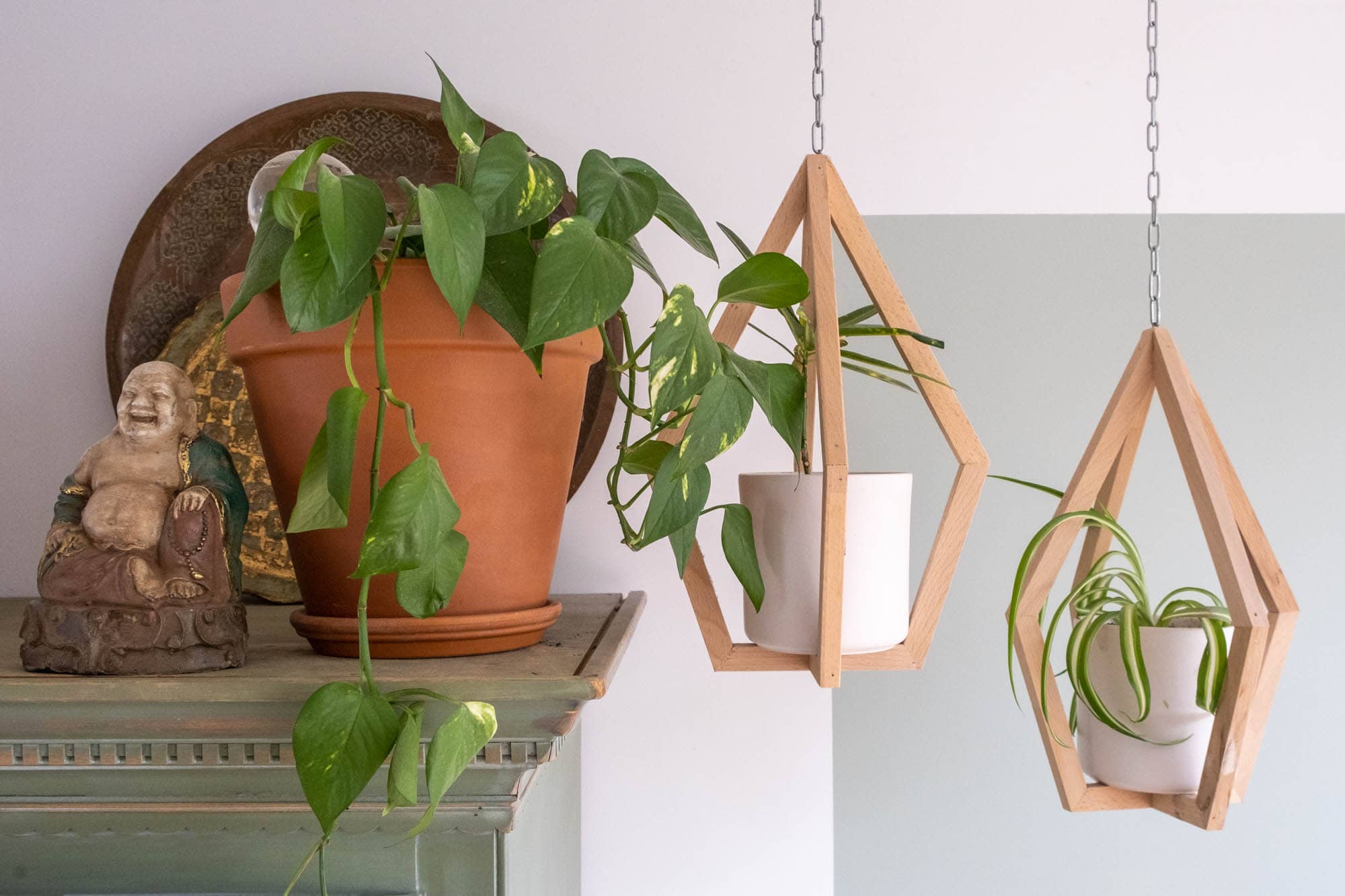 planten vakantie overleven