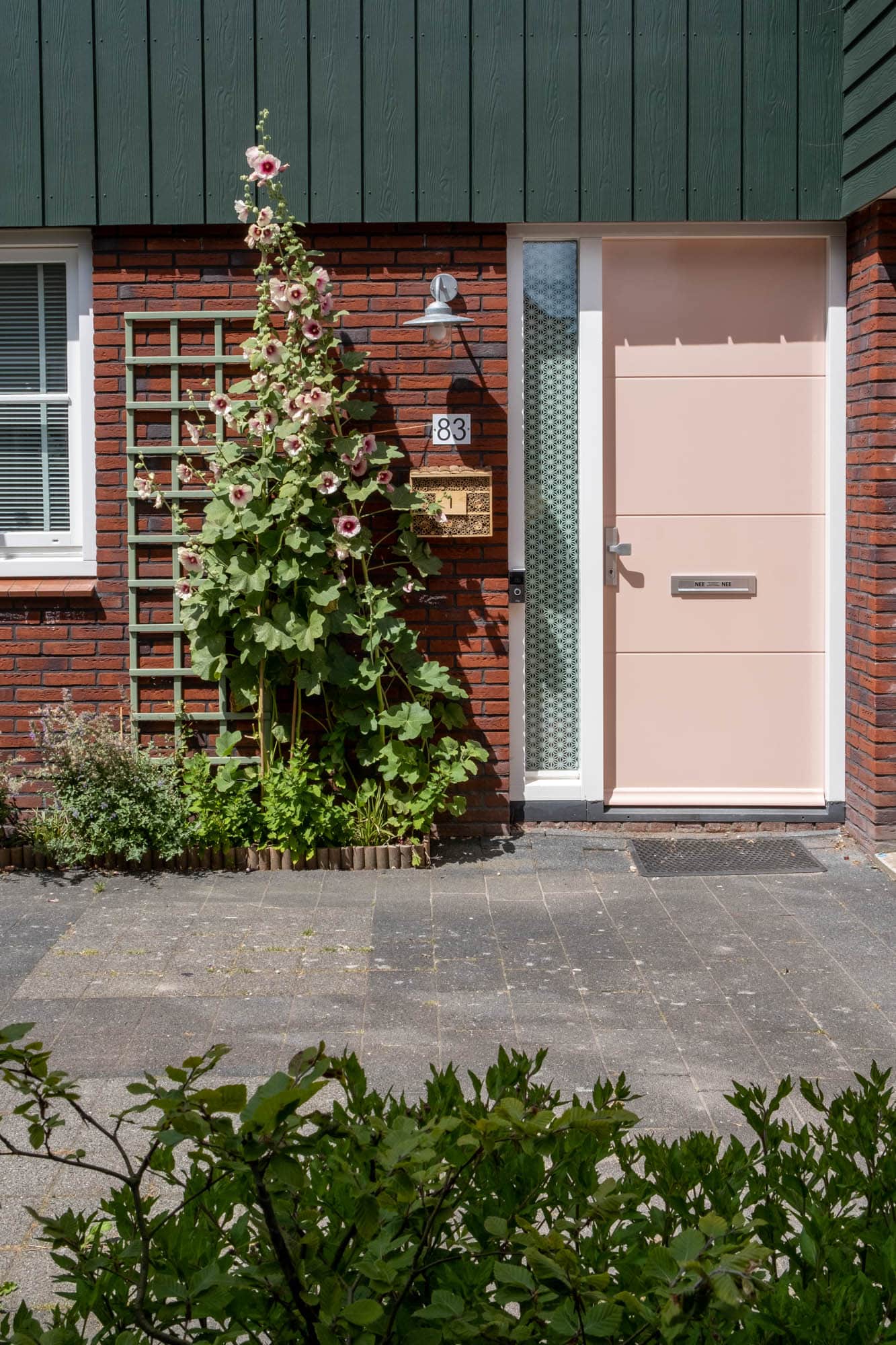 stokrozen oogsten en zaaien