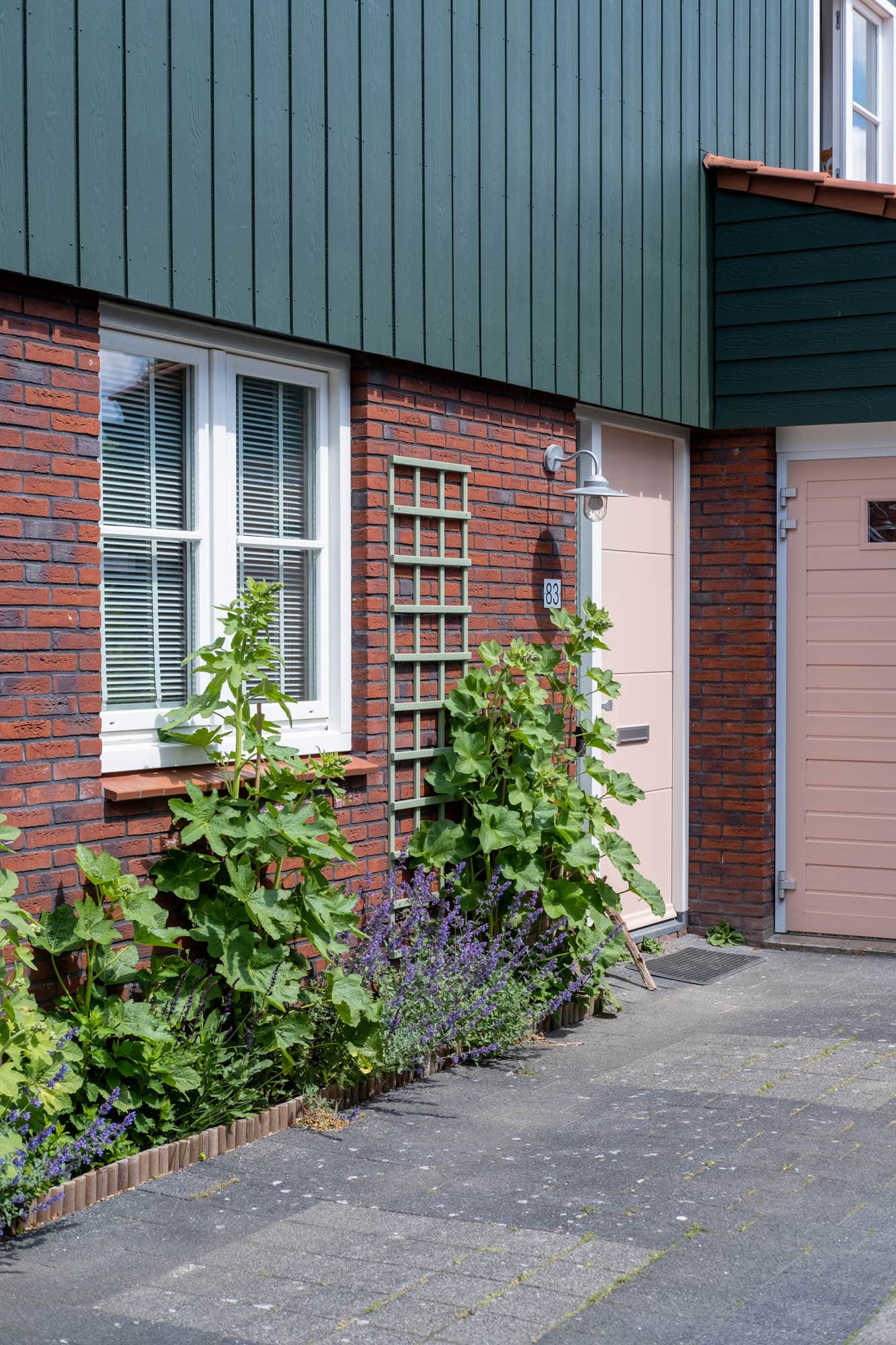 stokrozen zonder bloemen