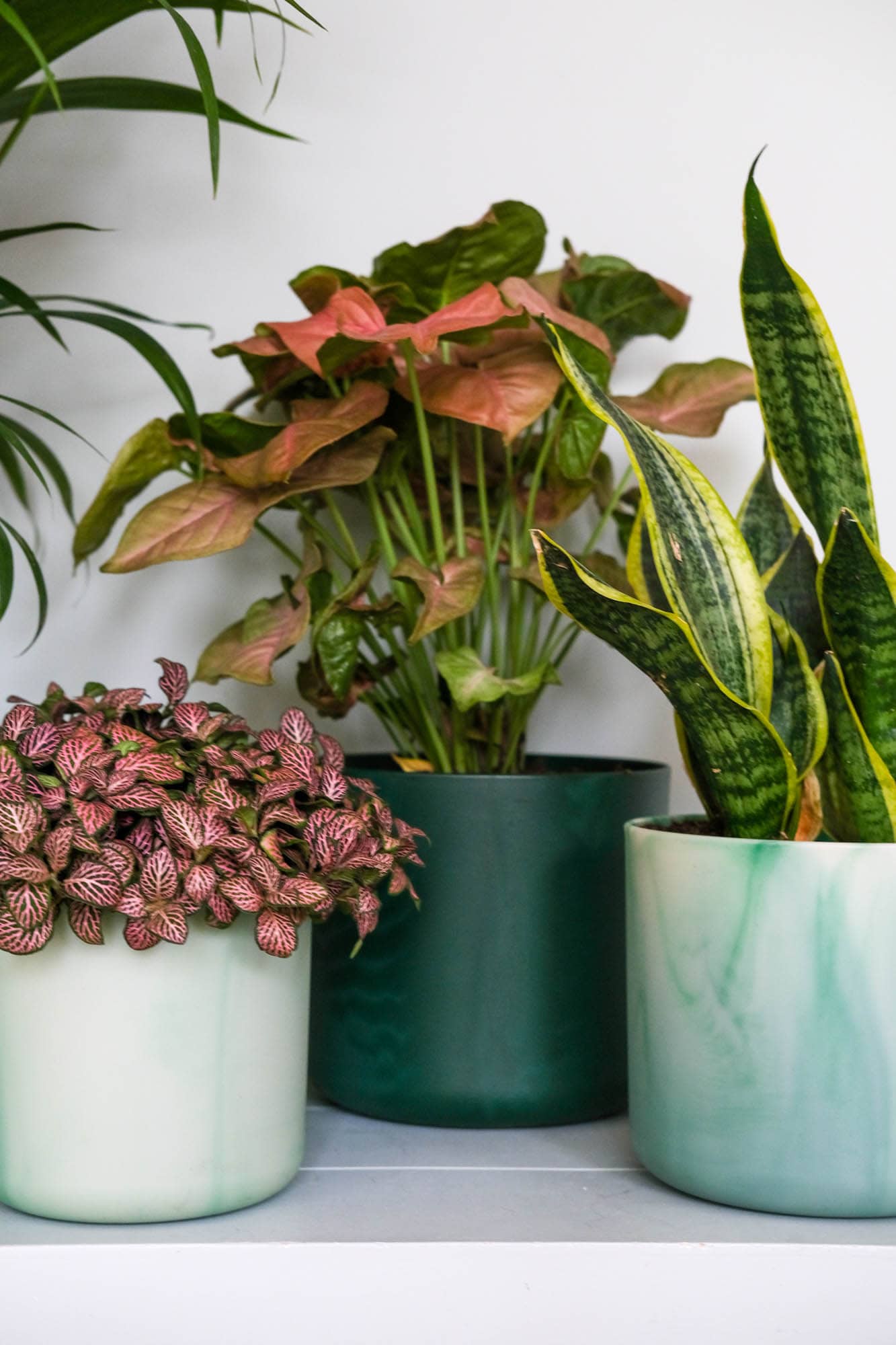 gerecyclede plantenpotten Elho
