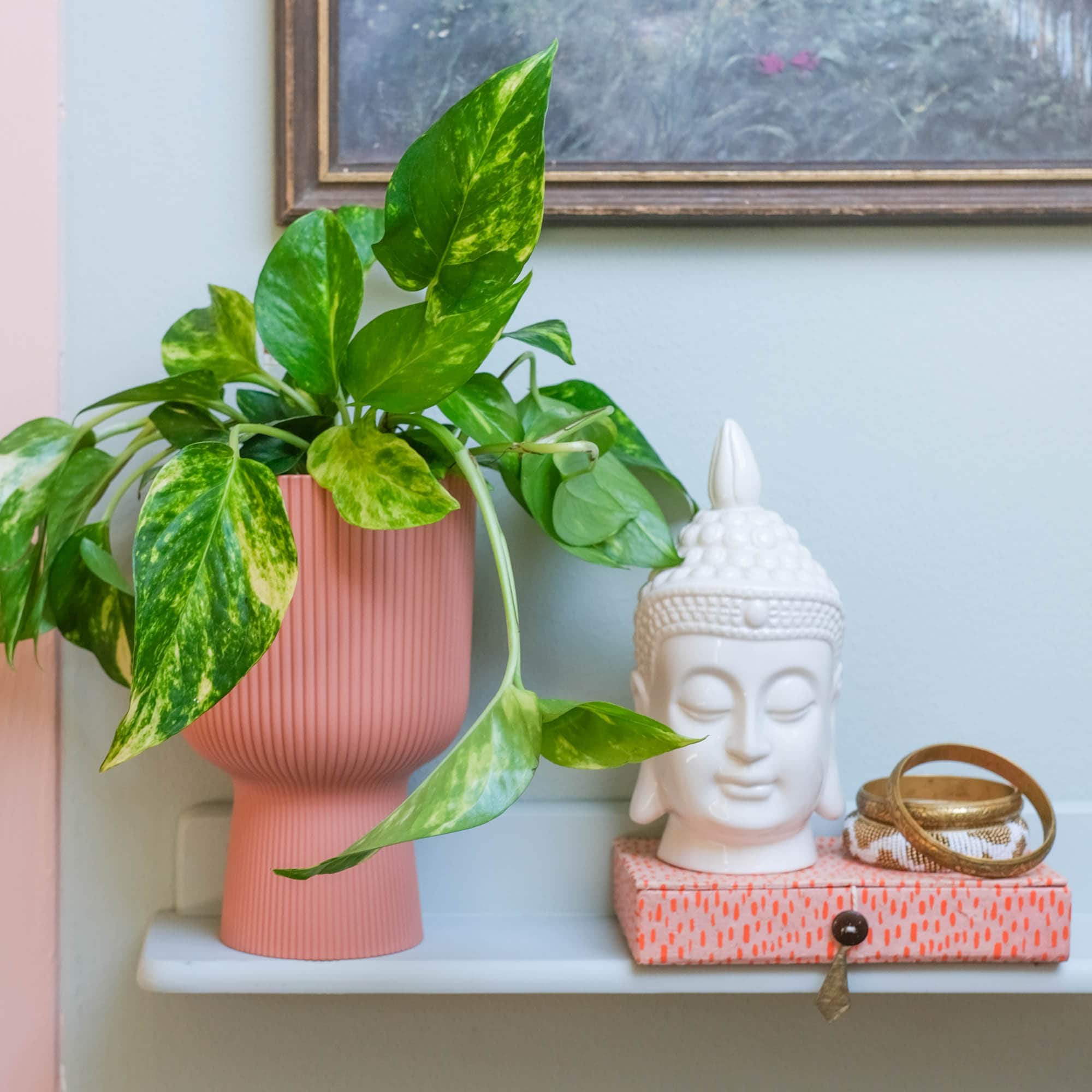 voordelen van hydrocultuur planten