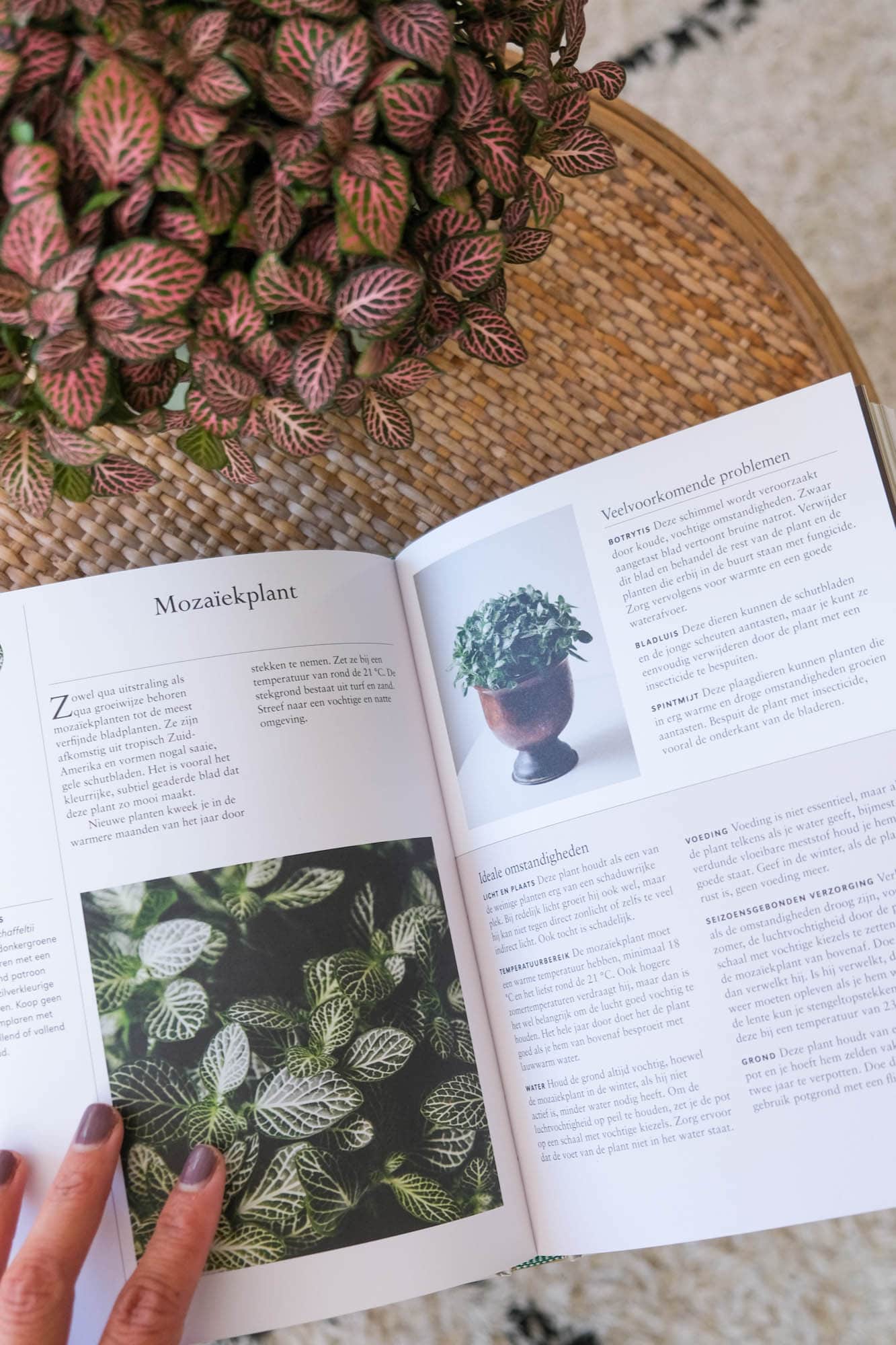 gids over plantverzorging