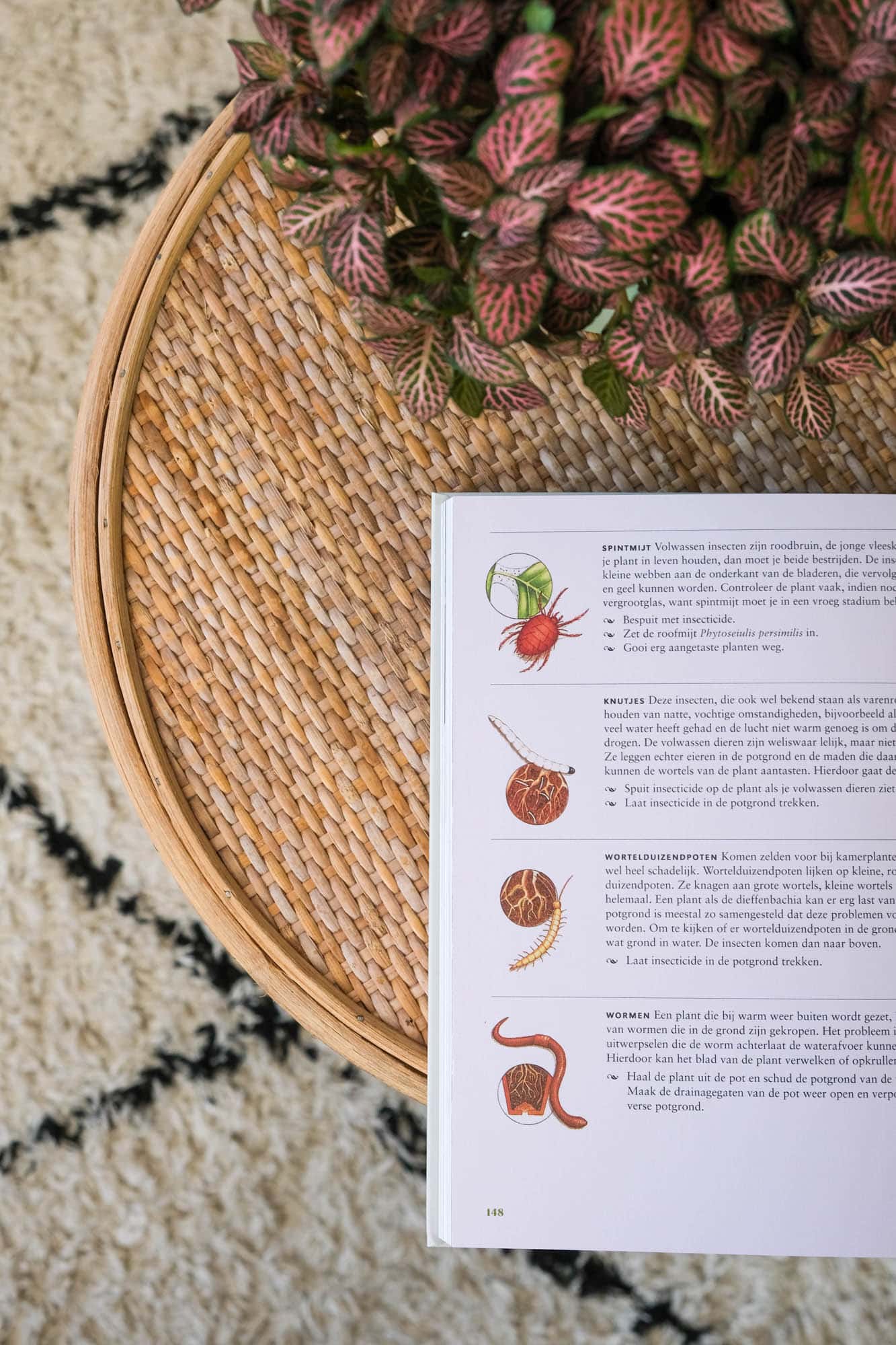 boek over verzorging planten