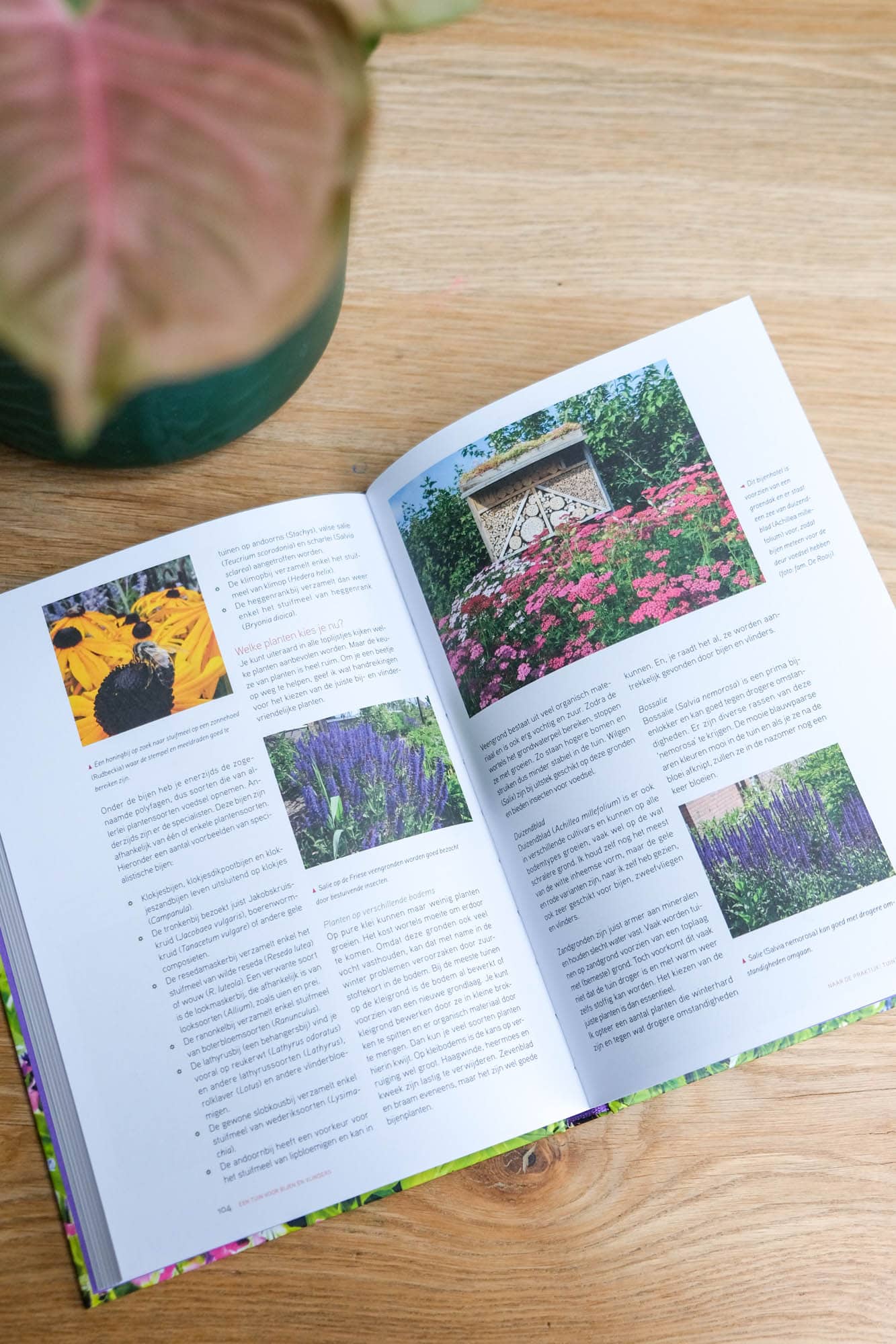 boek over duurzaam tuinieren