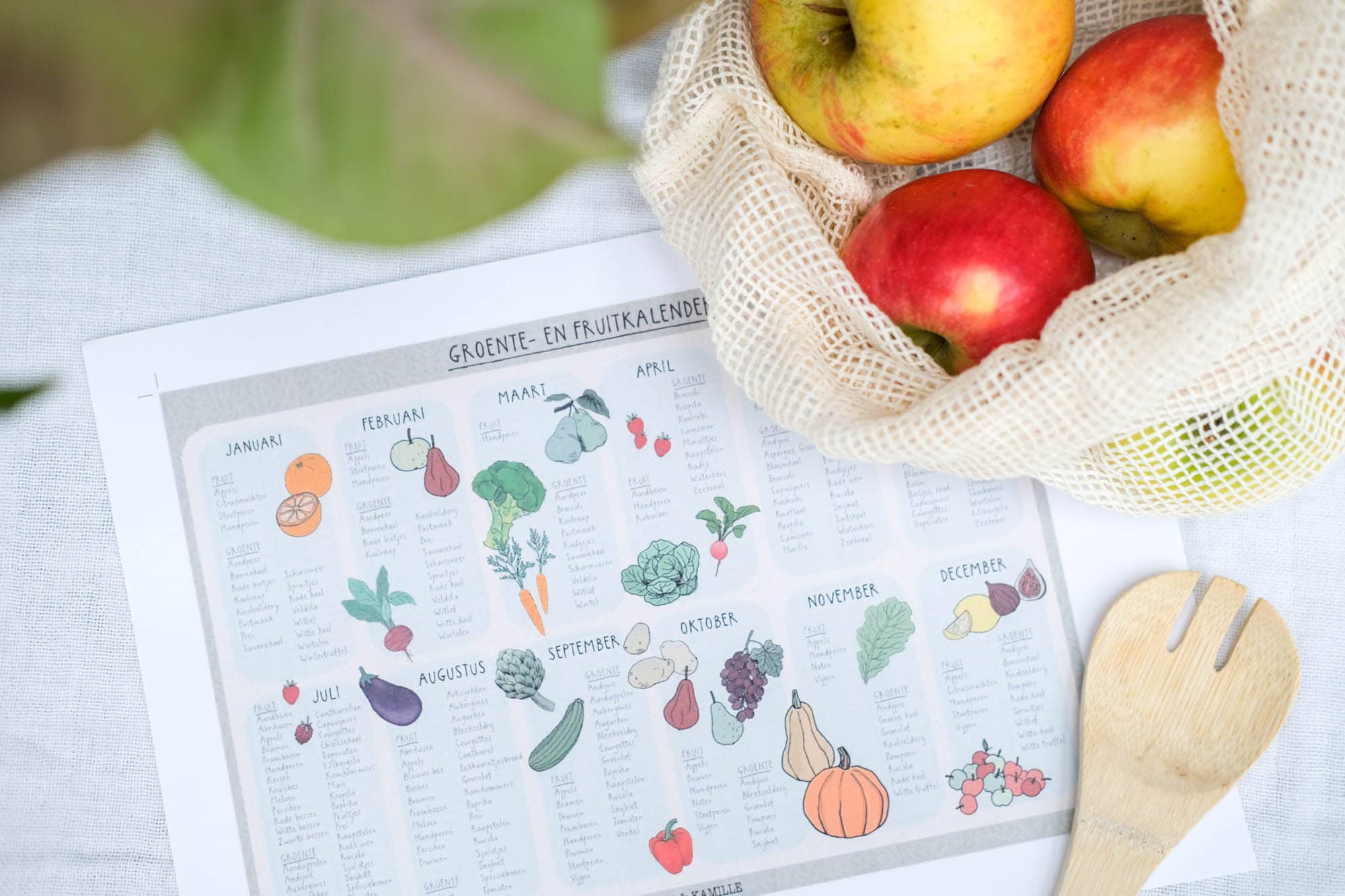groente seizoen kalender