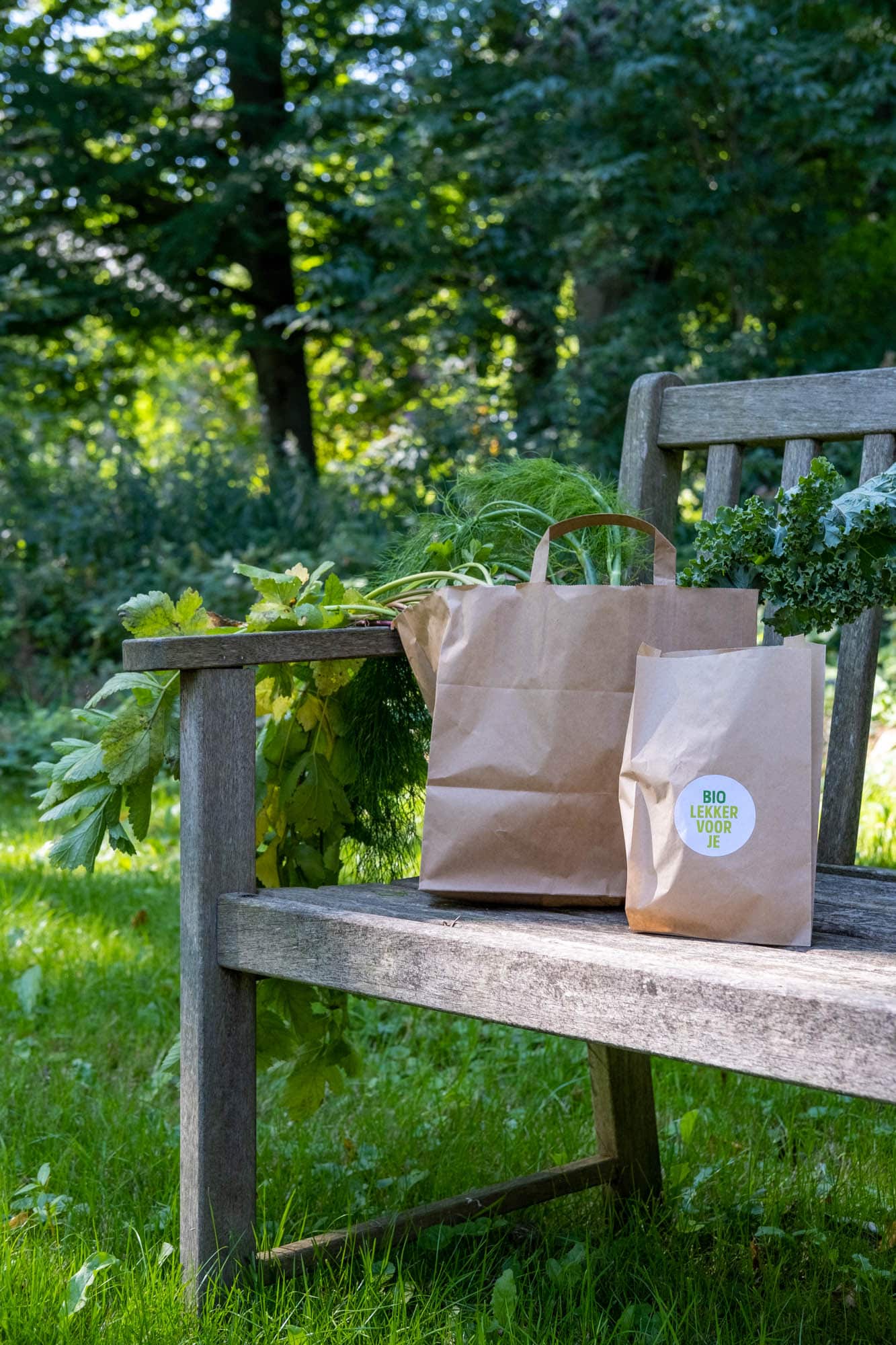 biologisch groentepakket