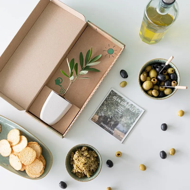 bloompost brievenbus cadeau