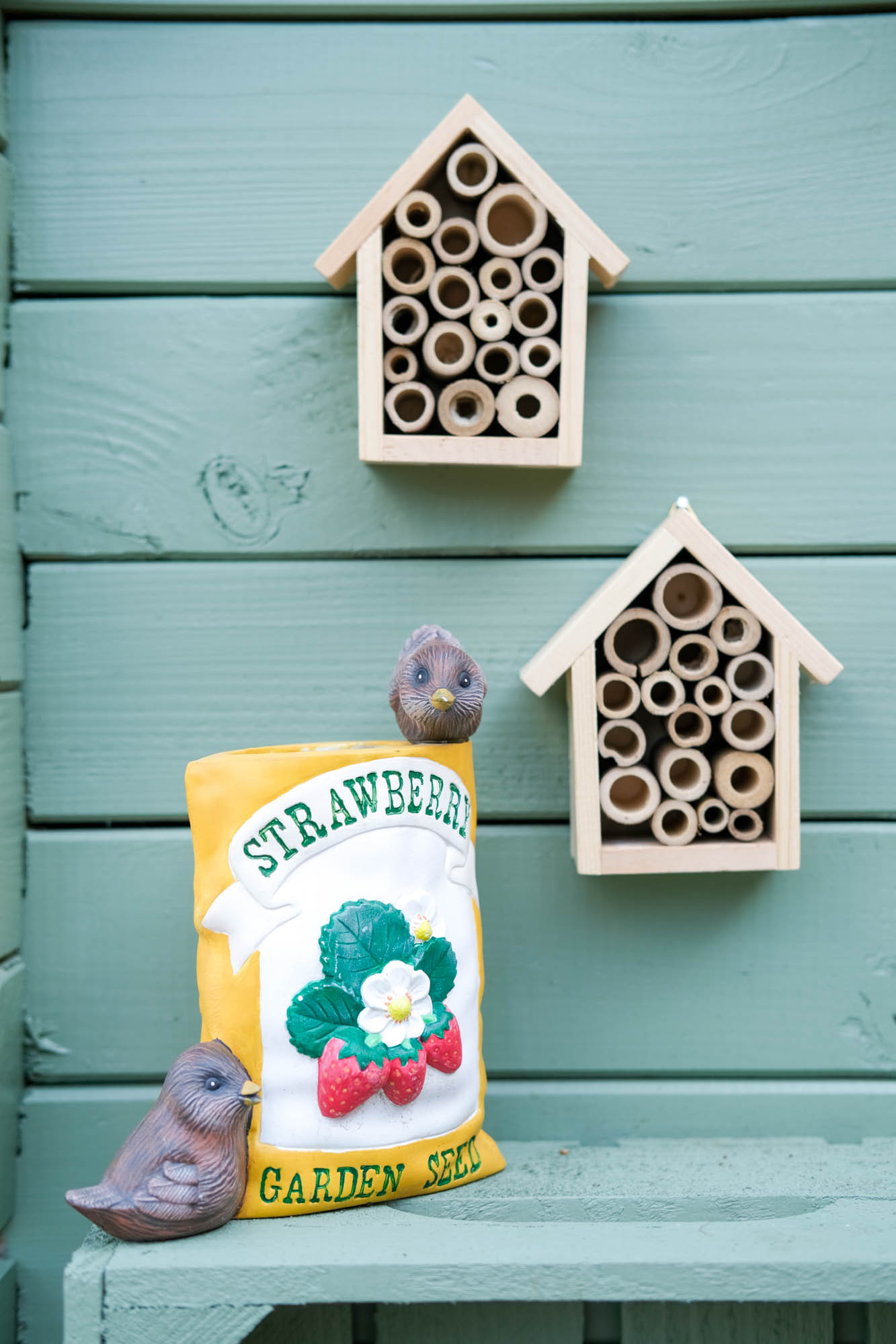 insectenhuisjes action