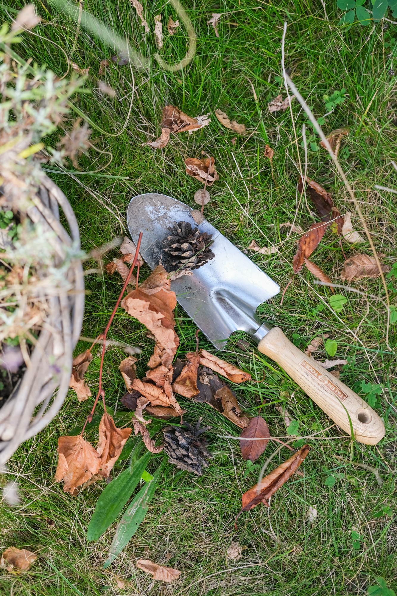 tips tuinieren in het najaar