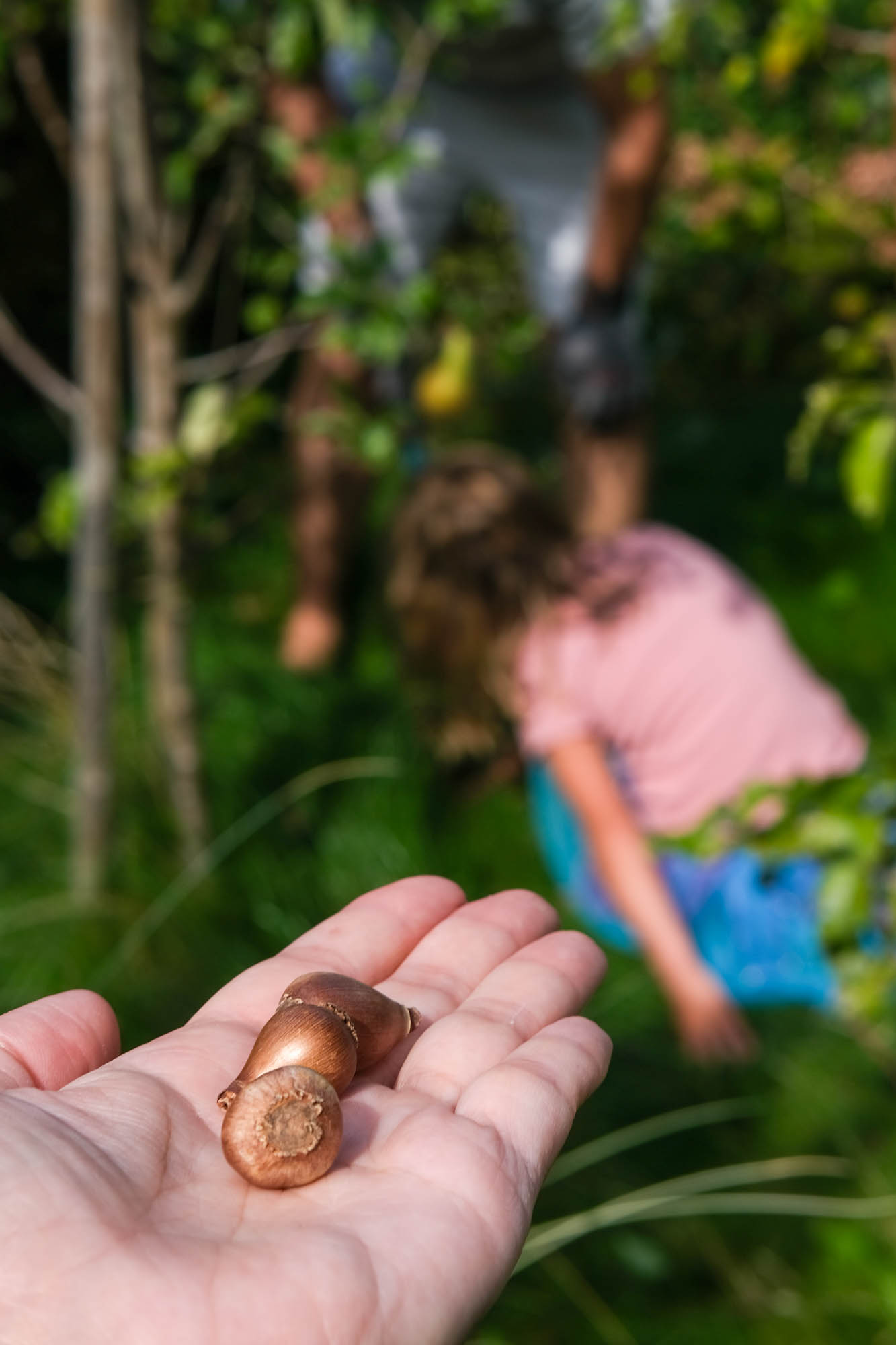 tuinieren herfst tips