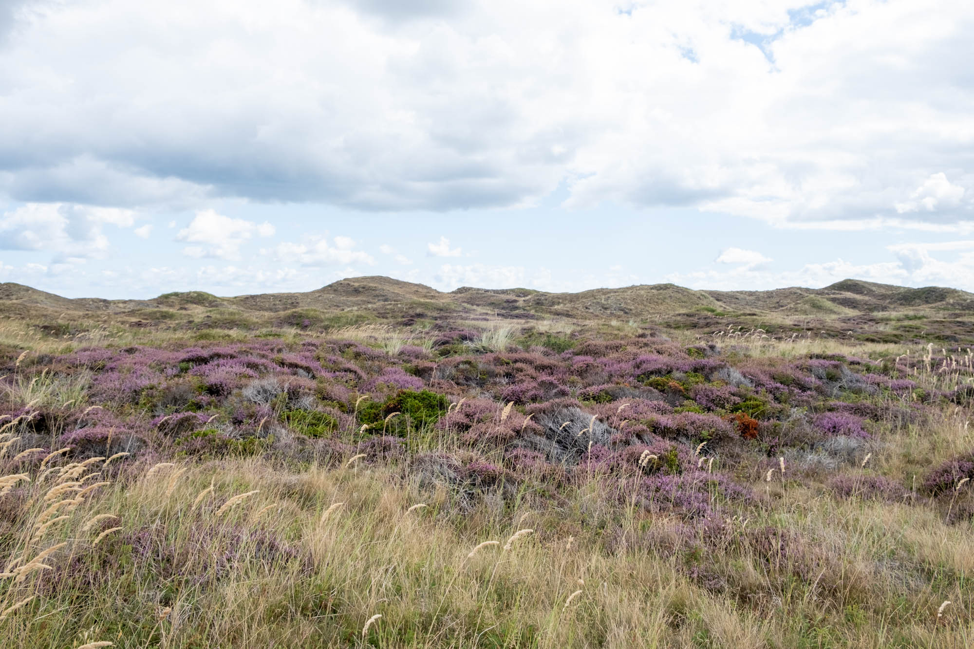 vakantiebestemming Ameland