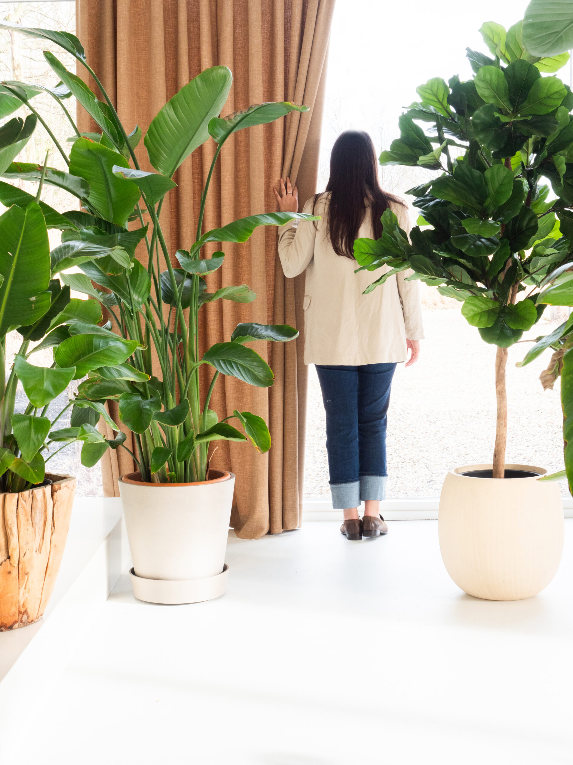 trends raambekleding 2024