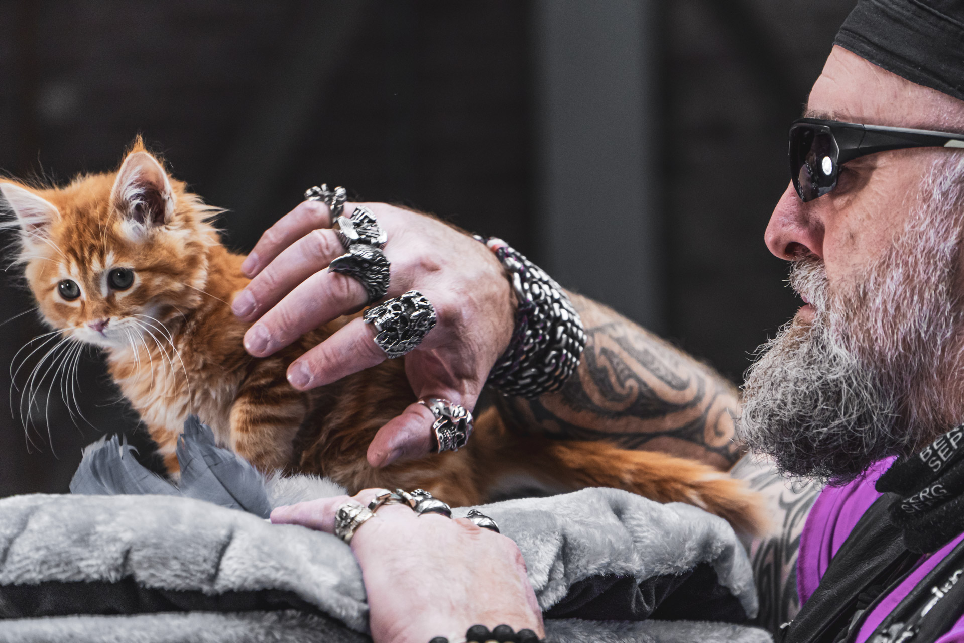 waar zet je een krabpaal in huis