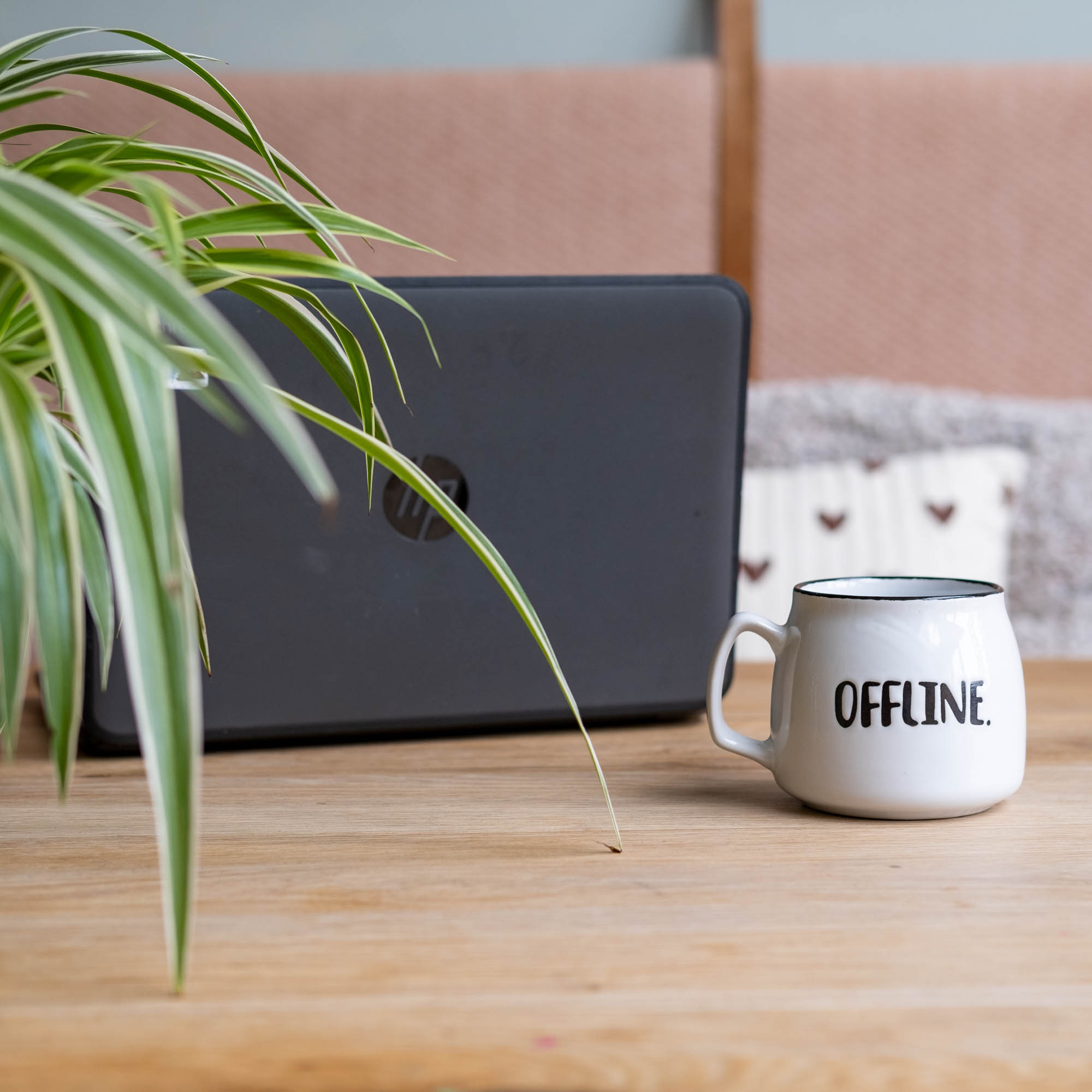 skills voor zelfstandige ondernemers