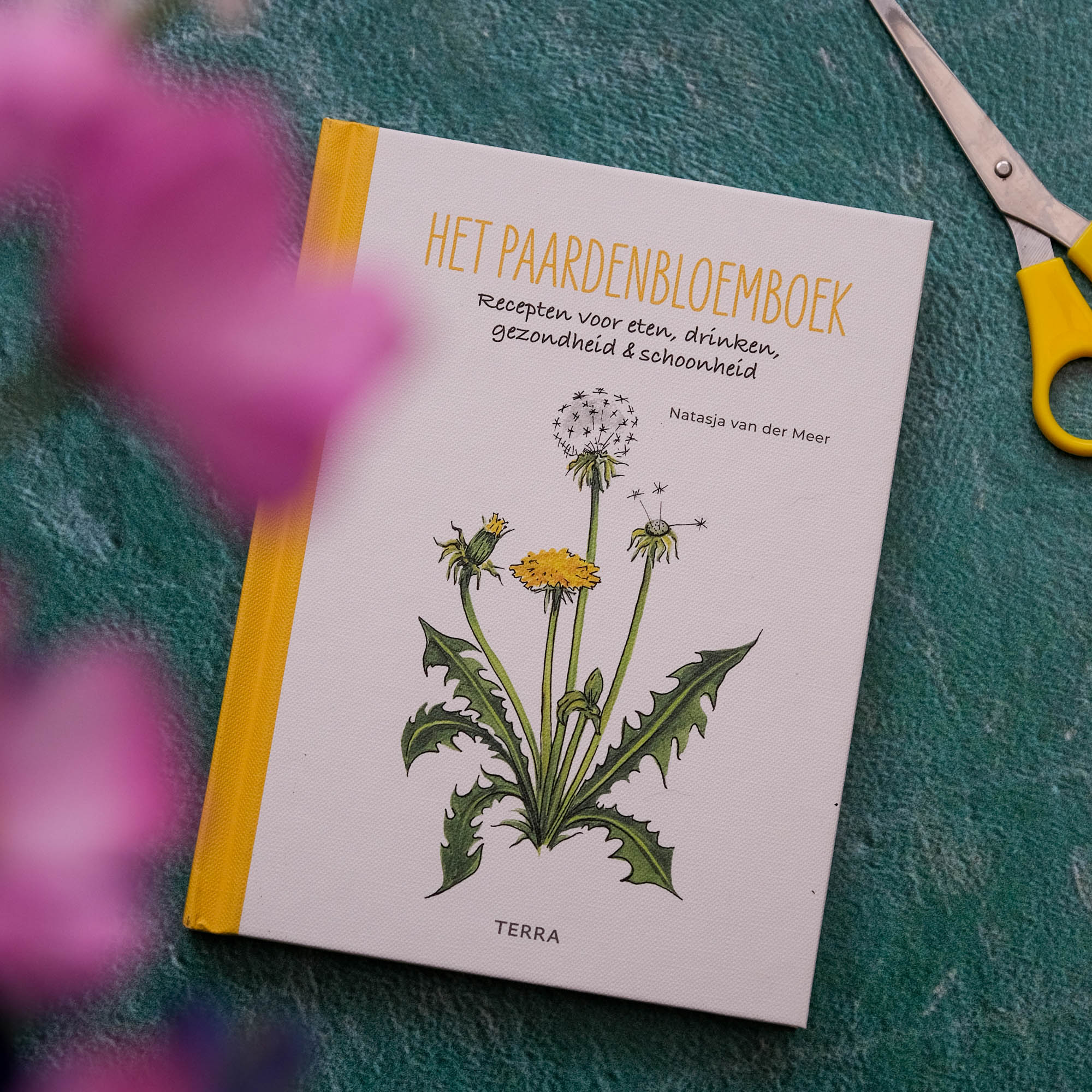 weetjes over de paardenbloem