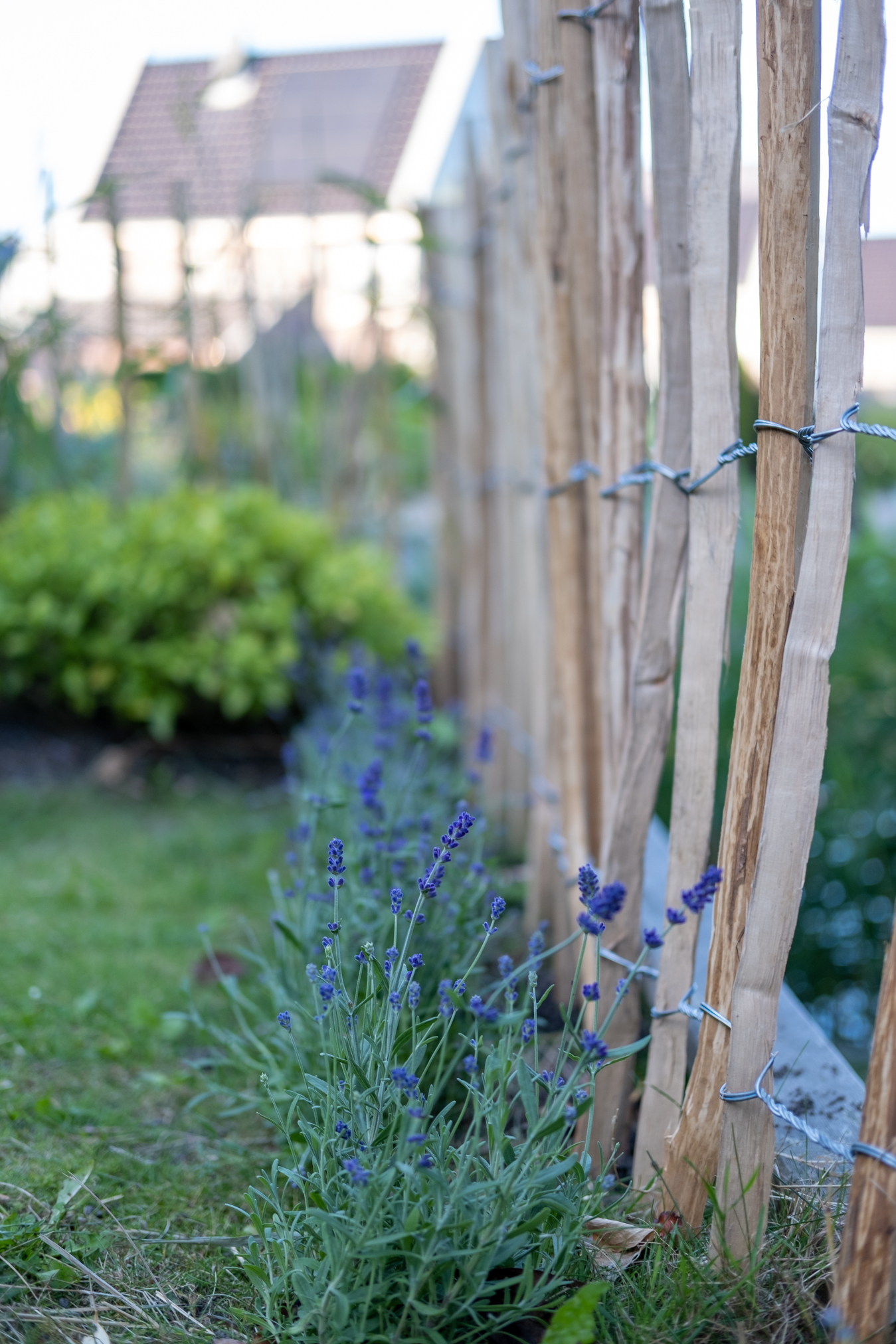 mediterrane look tuin