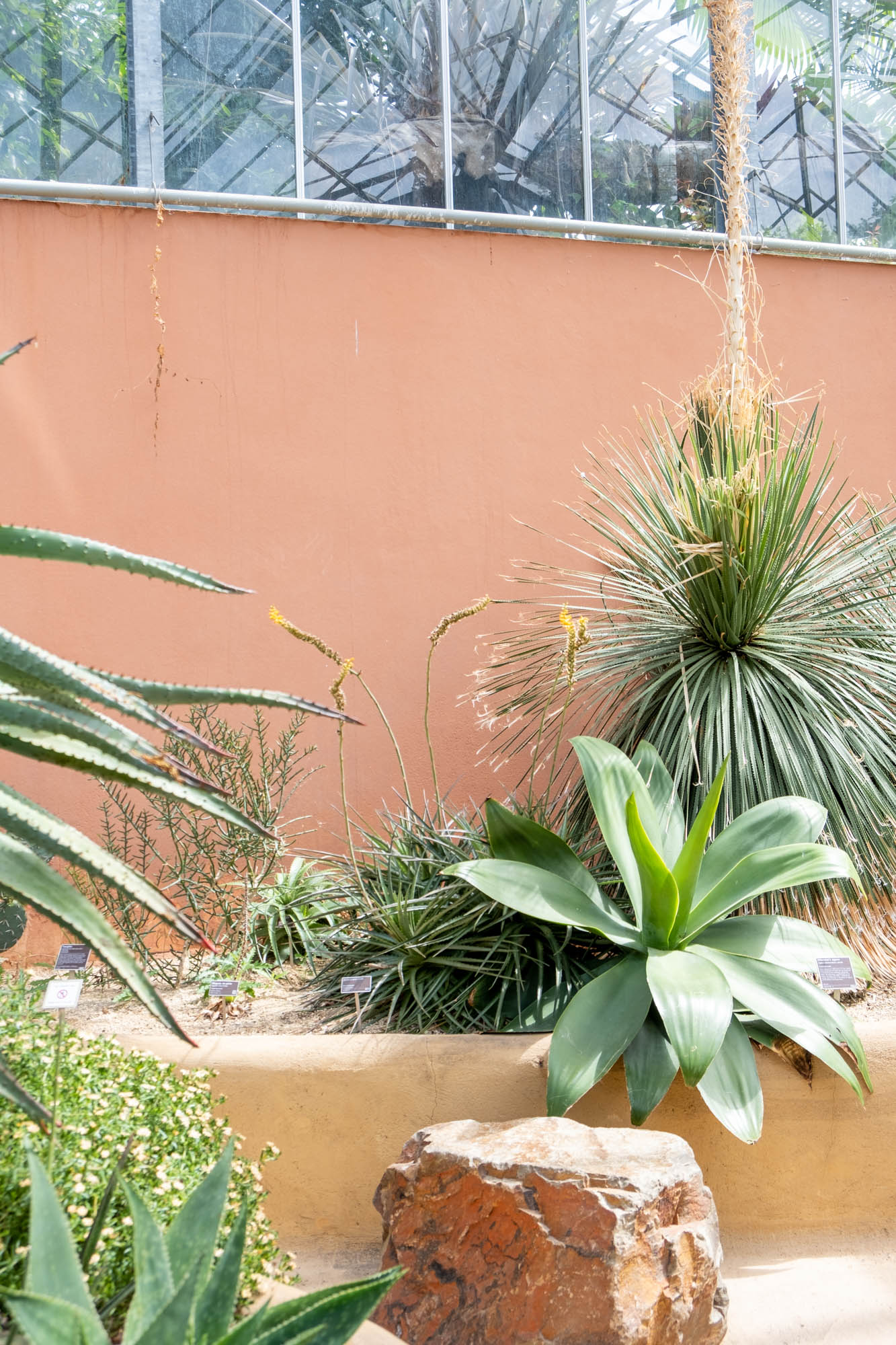 mediterrane tuin kleuren